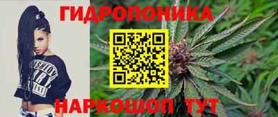 гашик Ставрополь