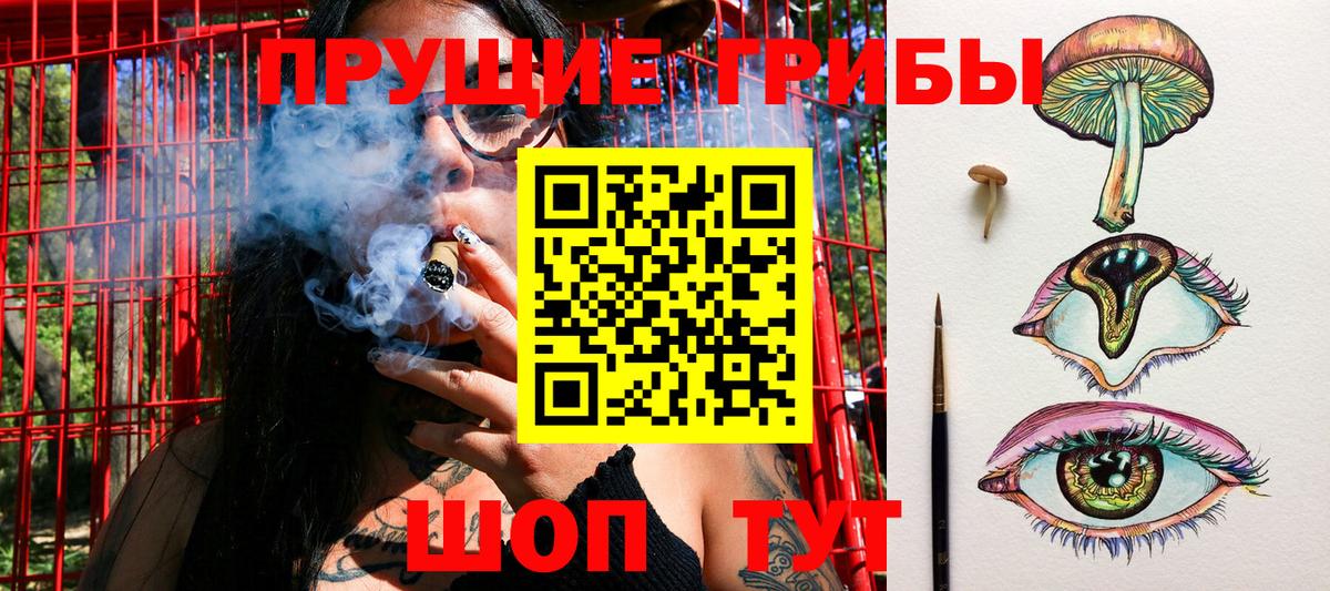Псилоцибиновые грибы Psilocybine cubensis Прохладный